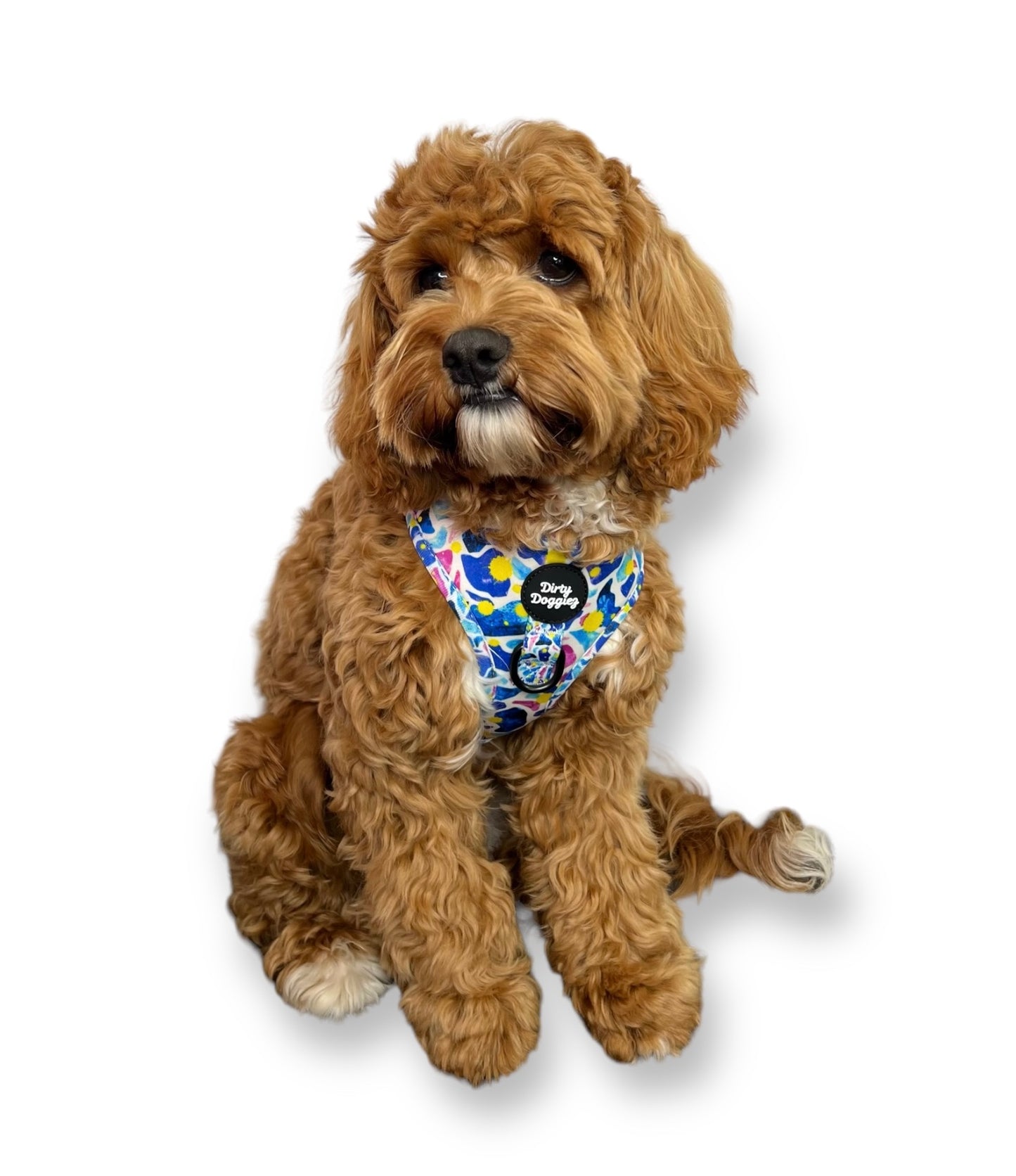 Scattered Bright: Adjustable Dog Harness
