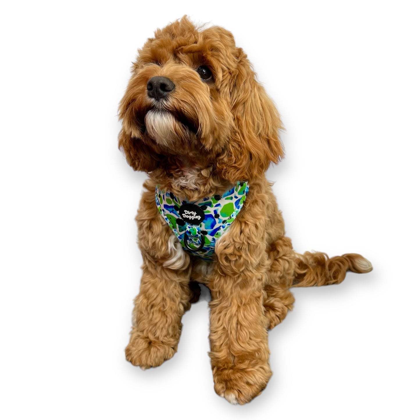 Scattered Green: Adjustable Dog Harness