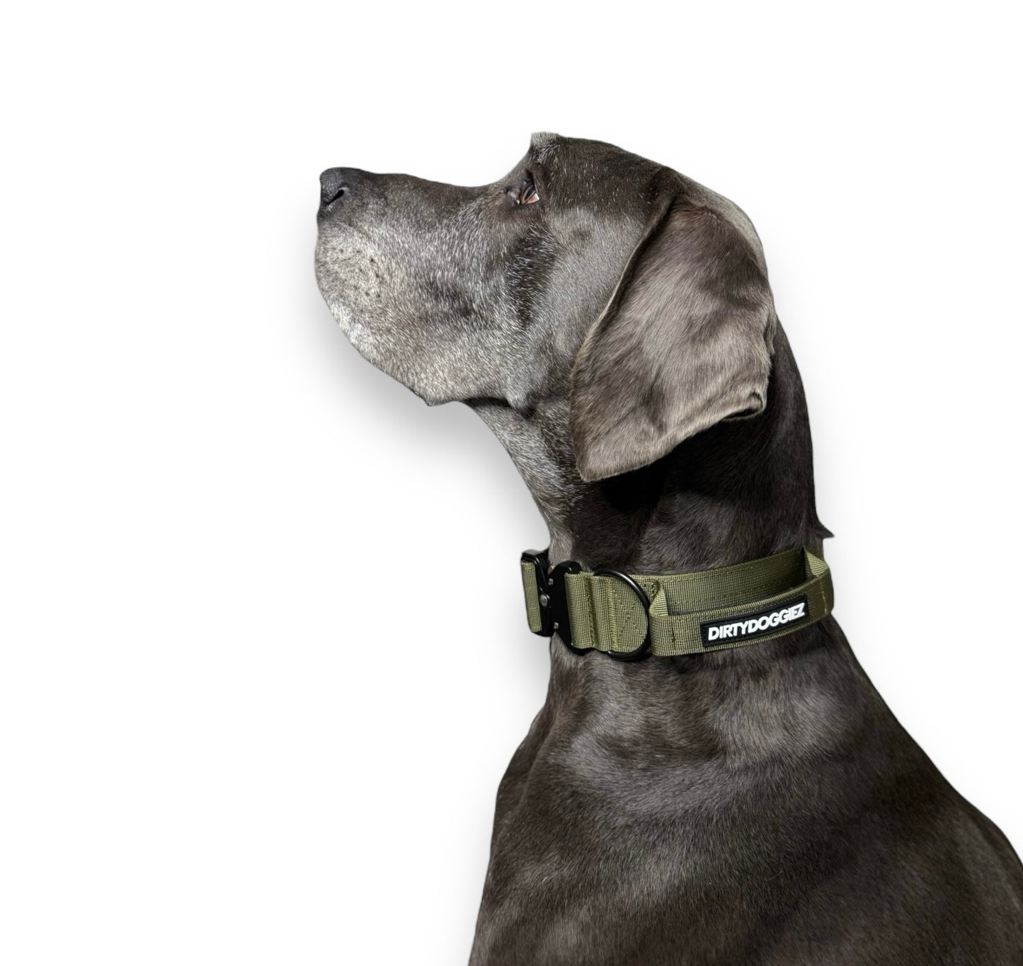 Tactical Collar - Army Green