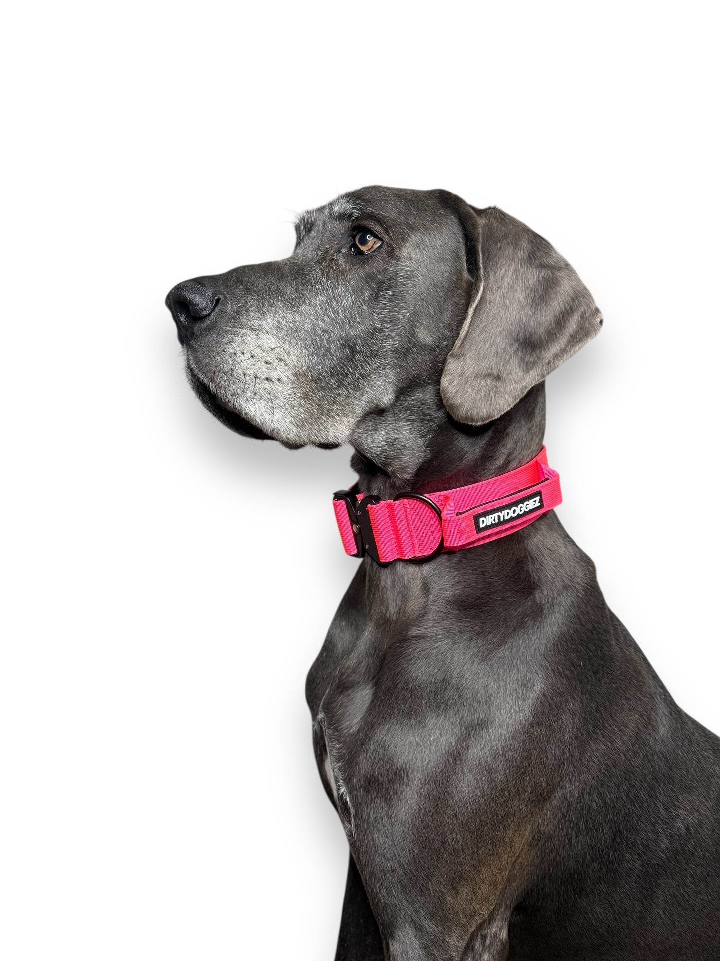 Tactical Collar - Pink