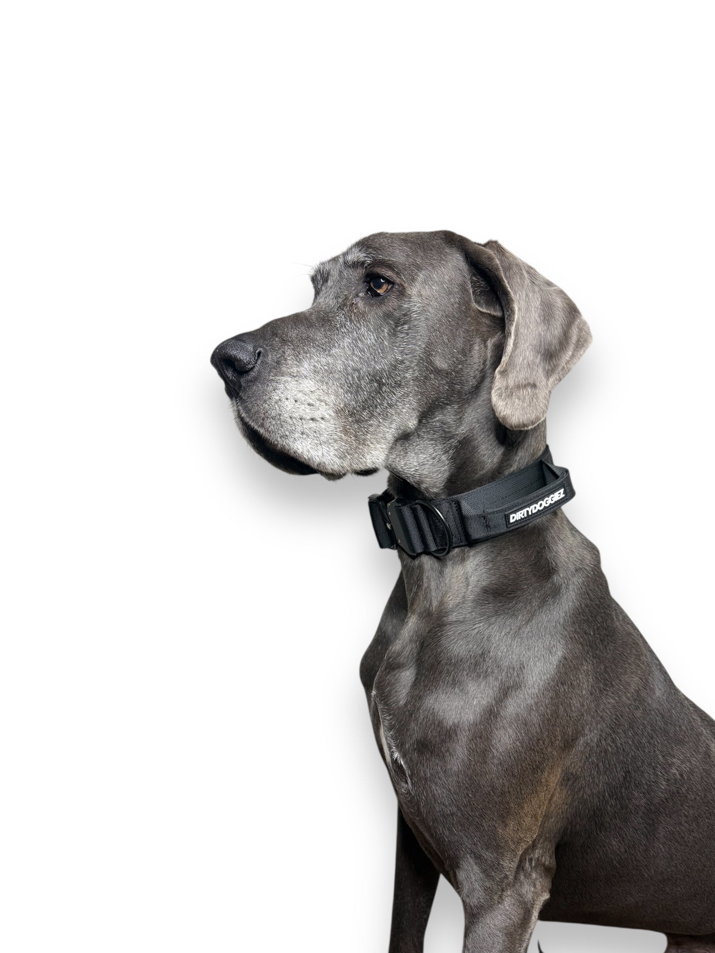 Tactical Collar - Black