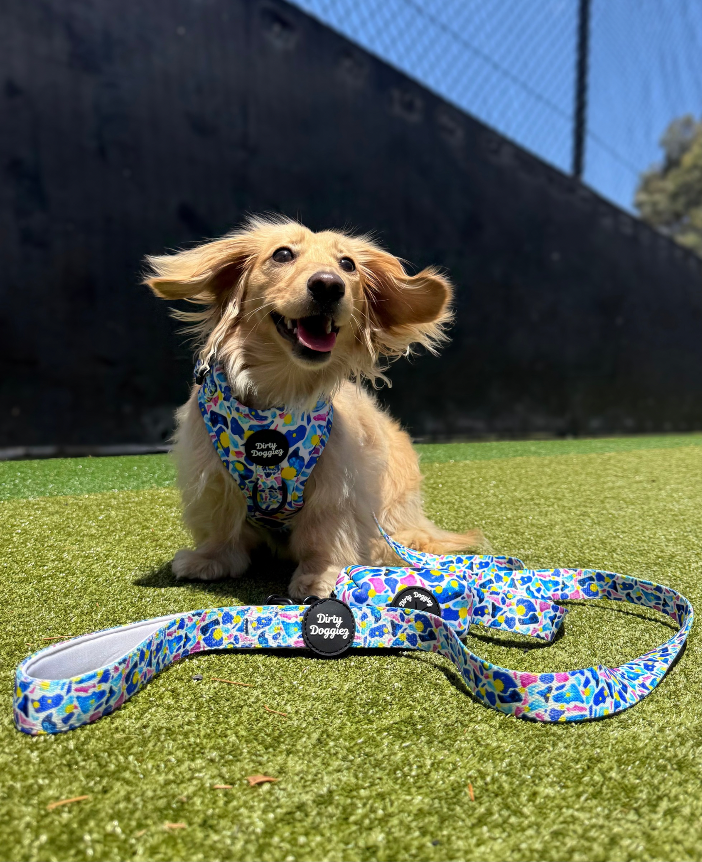 Scattered Bright: Adjustable Dog Harness