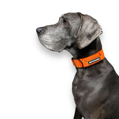 Tactical Collar - Orange